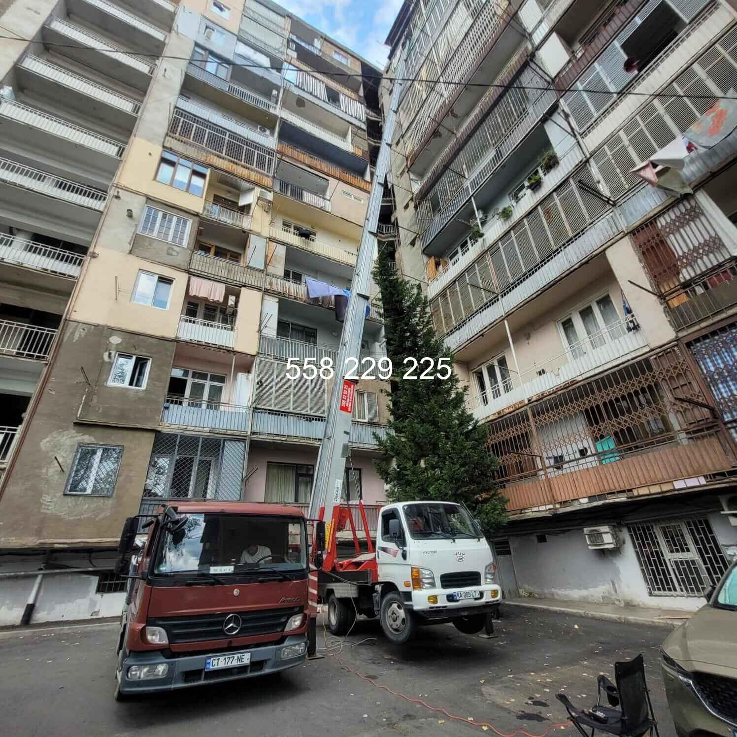 ჟირაფის ქირაობა